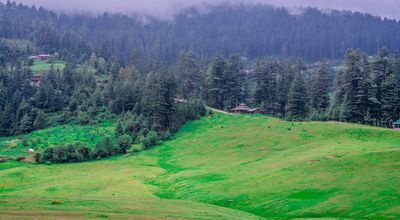 Great Himalayan National Park - National Park