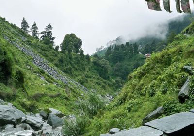 Bhagsunag Temple - Temple