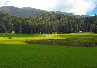 Khajjiar - Tourist Spot