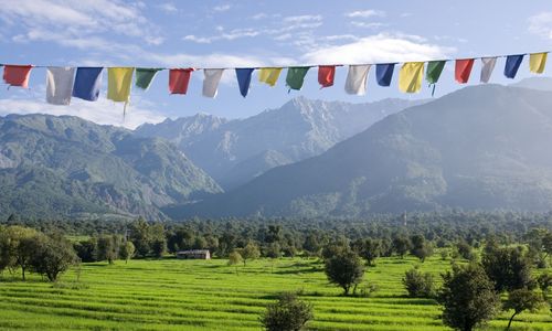 tibet tour and travel dharamshala