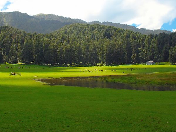 Khajjiar - Hill Station in Dalhousie, Himachal Pradesh