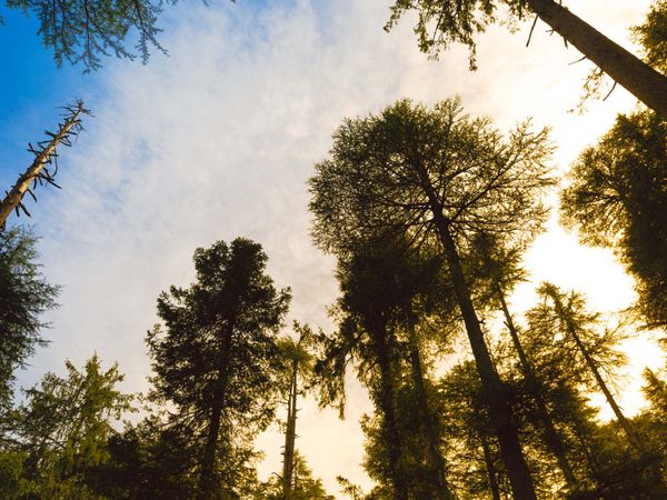 Panchpula - Tourist Spot in Dalhousie, Himachal Pradesh