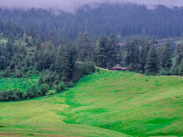 Great Himalayan National Park - National Park in Kullu, Himachal Pradesh