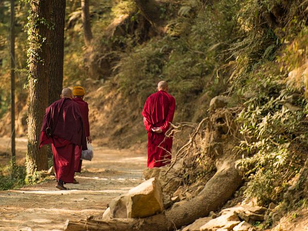 Dharamshala - Himachal Pradesh