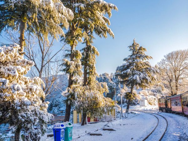 Shimla - Himachal Pradesh